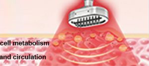 bio-photoelectric-theory-300x134.jpg